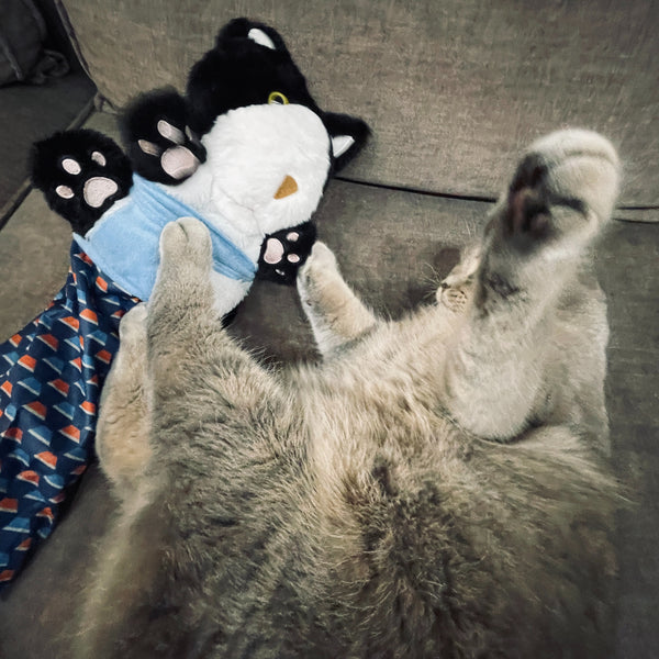 Mr. Scratchless™ – Cat Fighting Glove with Plush Puppet
