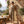 Relaxed Fit Wide-Leg Cropped Jumpsuit for Women – Comfortable Casual Style