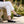 Orthopedic Round Toe T-Strap Flats for Women – Supportive Comfort & Style