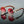 Panthera Onca Vintage Luxe Sunglasses