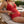 Ruched Halter V-Neck Tankini Top and Fitted Swim Bottoms Set for Women – Stylish & Flattering Beachwear