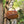 Women's Oval Leather Crossbody Bag