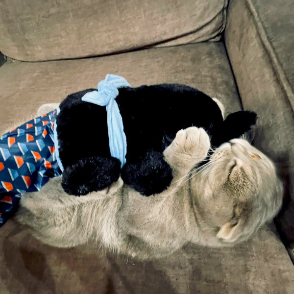 Mr. Scratchless™ – Cat Fighting Glove with Plush Puppet